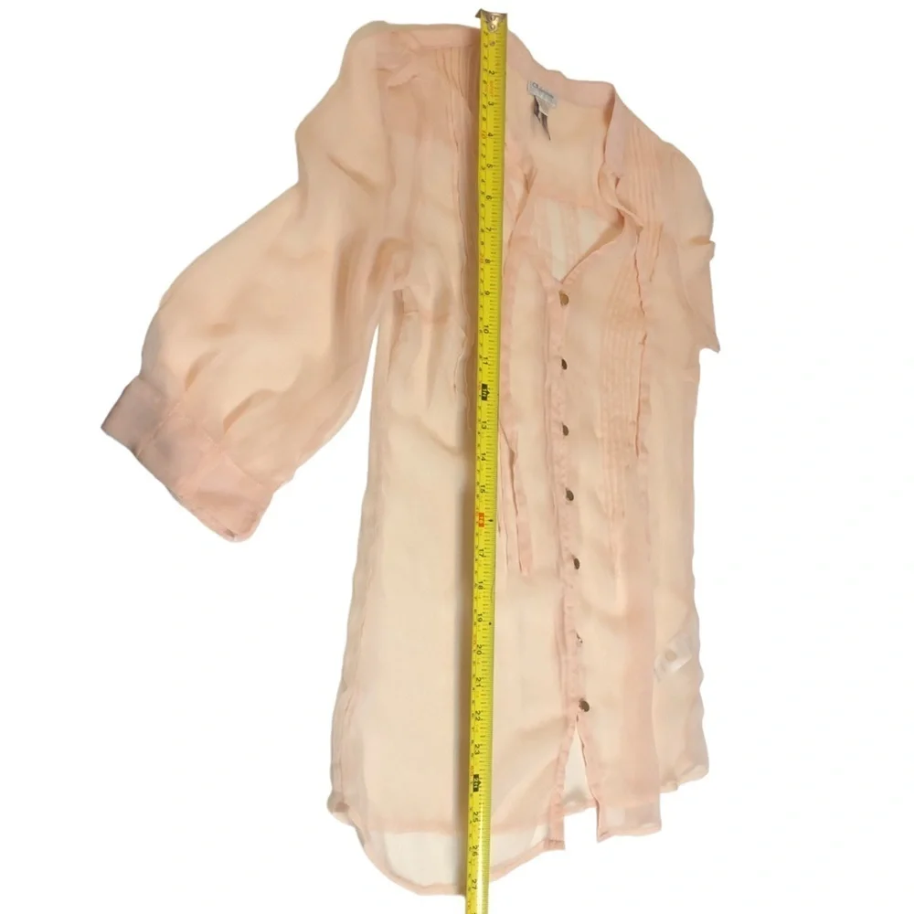 Blush Gauzy Chiffon Sheer Tunic Blouse with Buttons and Pleats - Picture 9 of 16